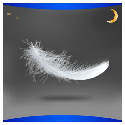 a6550566d78f10d74945358845d6fec1