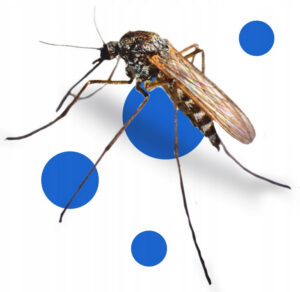 e2172d5ddae04155e173e6b4165dd639