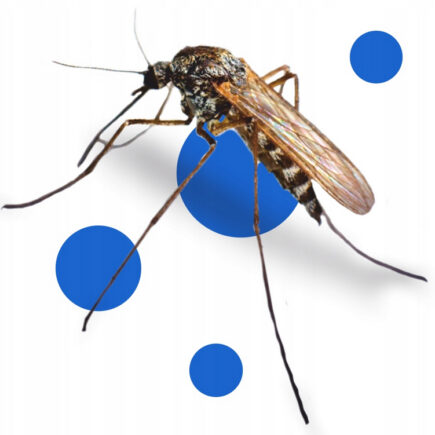 e2172d5ddae04155e173e6b4165dd639