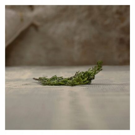 29c7d8400799d63fb5e25baad4dbbc57