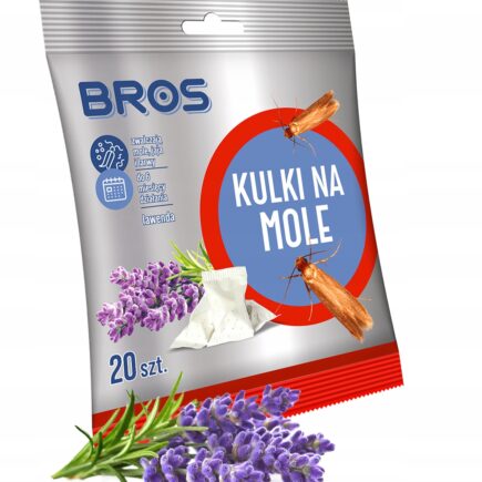 022bf81349bee13c979fb218c800c032