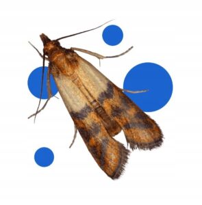 90e47adc08f5e7c4d0fea1a8437f1fb8