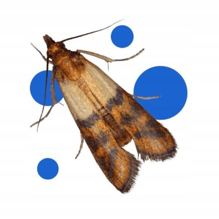 90e47adc08f5e7c4d0fea1a8437f1fb8