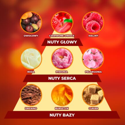 34ba997e385a11686356e4b8450a2ccb