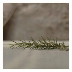 a47521dcb9d58dfde9db19f78686fc7d