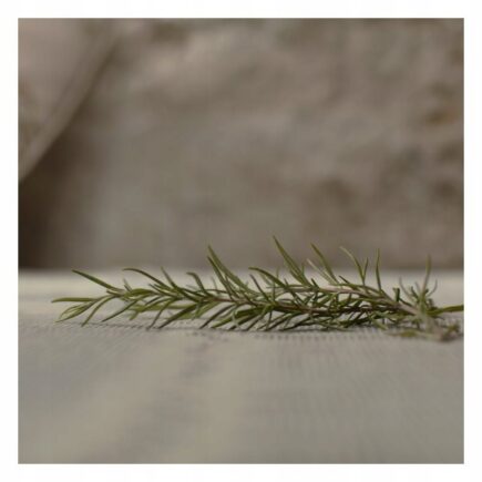 a47521dcb9d58dfde9db19f78686fc7d