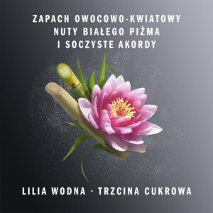 0e2bf93caa3c61c641f47b6694cb041f