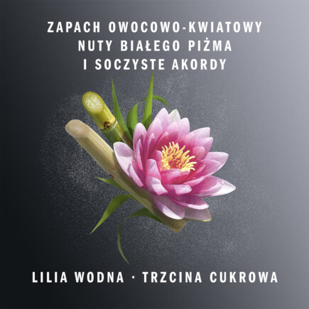 0e2bf93caa3c61c641f47b6694cb041f